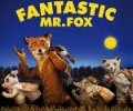 Ciné Plein Air - Fantastic Mister Fox