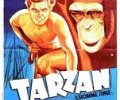 Ciné Plein Air - Tarzan, l'homme singe